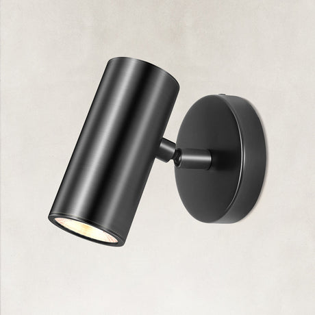 Muse Adjustable Picture Spot Light Wall Sconce 6"H